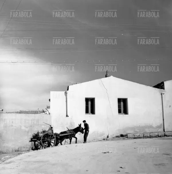 Scene di vita quotidiana, Augusta, 1960 - Farabola Immagine digitale