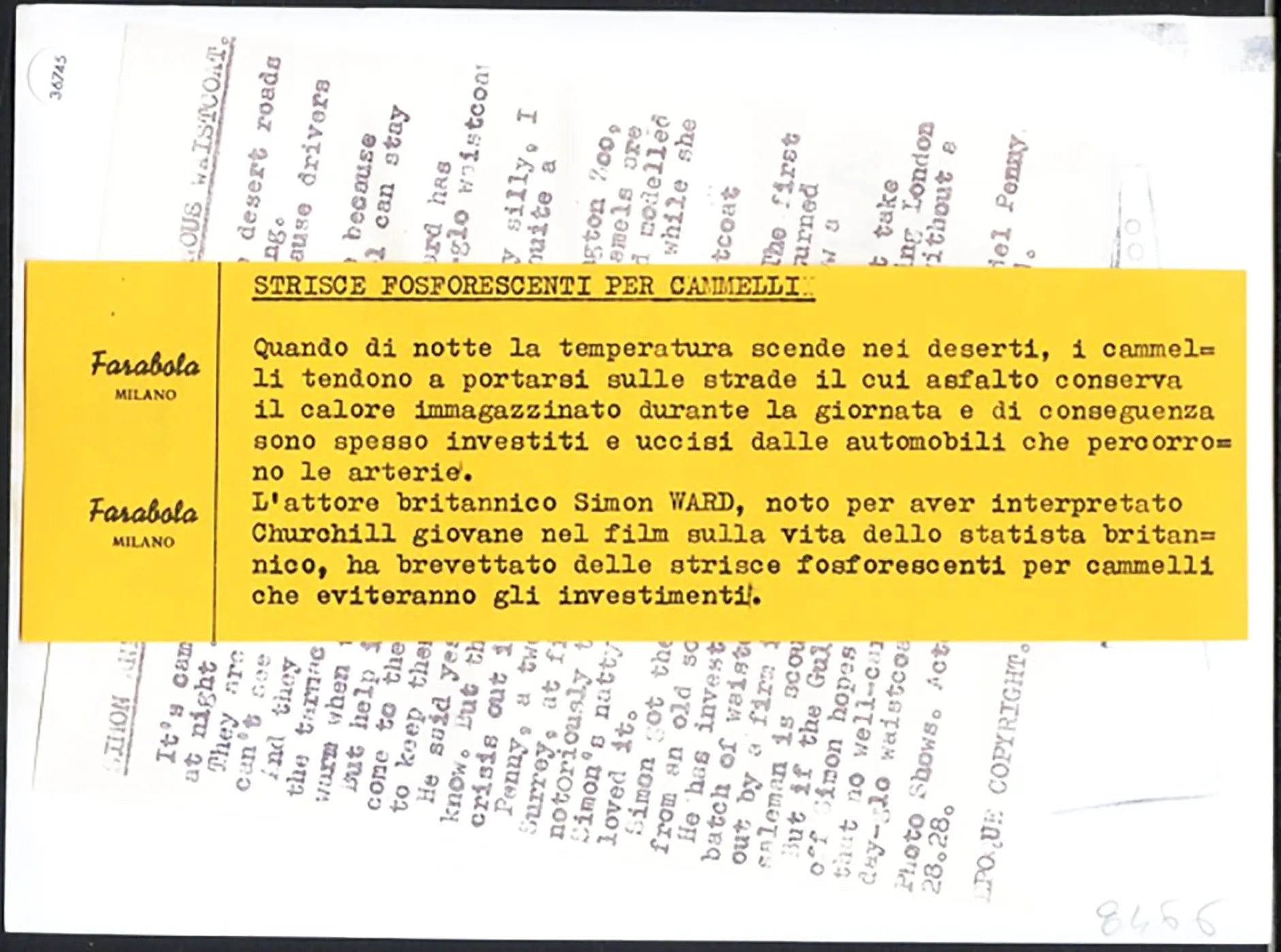 Simon Ward e i cammelli 1997 Ft 36745 - Stampa 20x15 cm - Farabola Stampa ai sali d'argento
