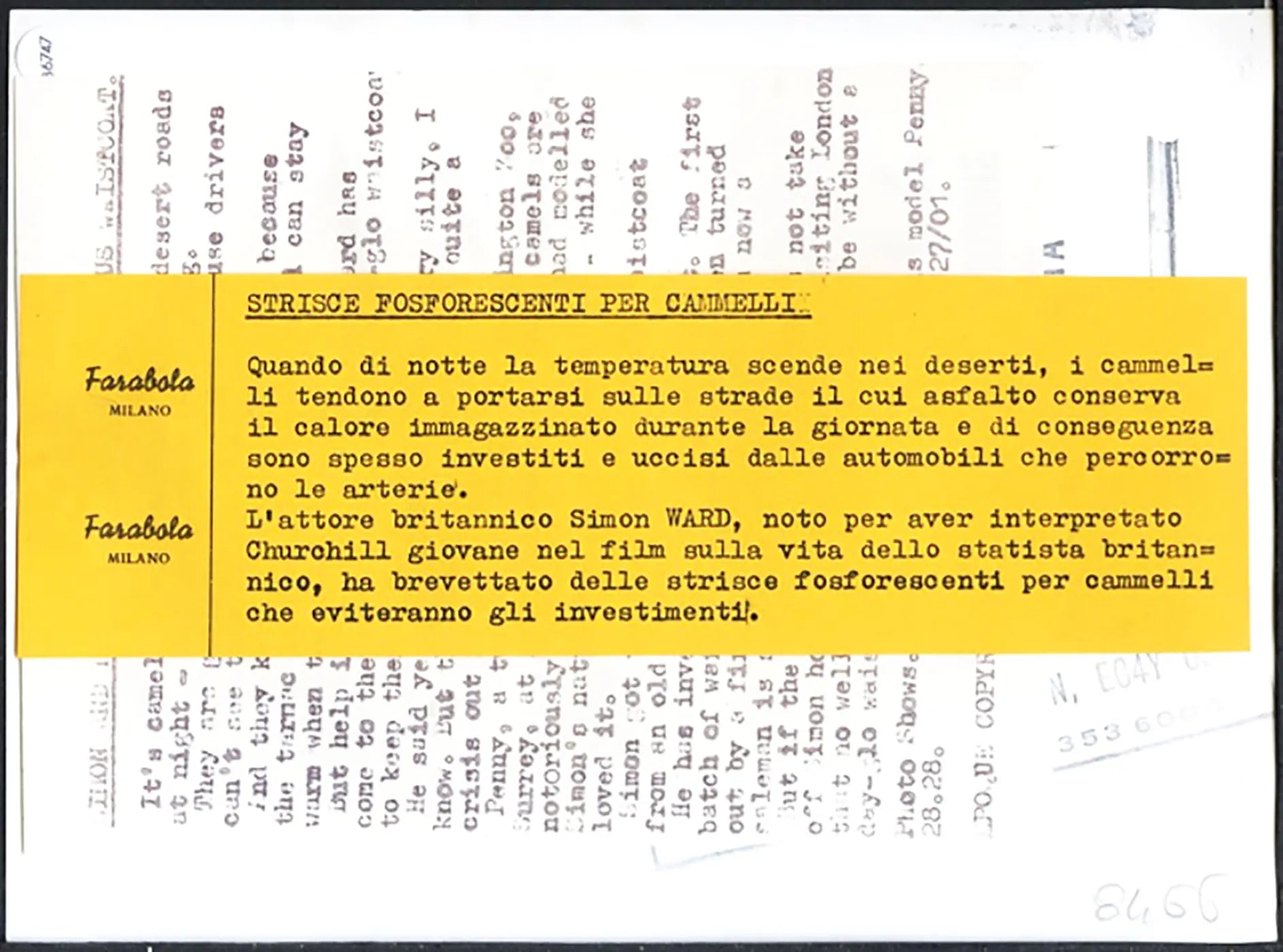 Simon Ward e i cammelli 1997 Ft 36747 - Stampa 21x15 cm - Farabola Stampa ai sali d'argento