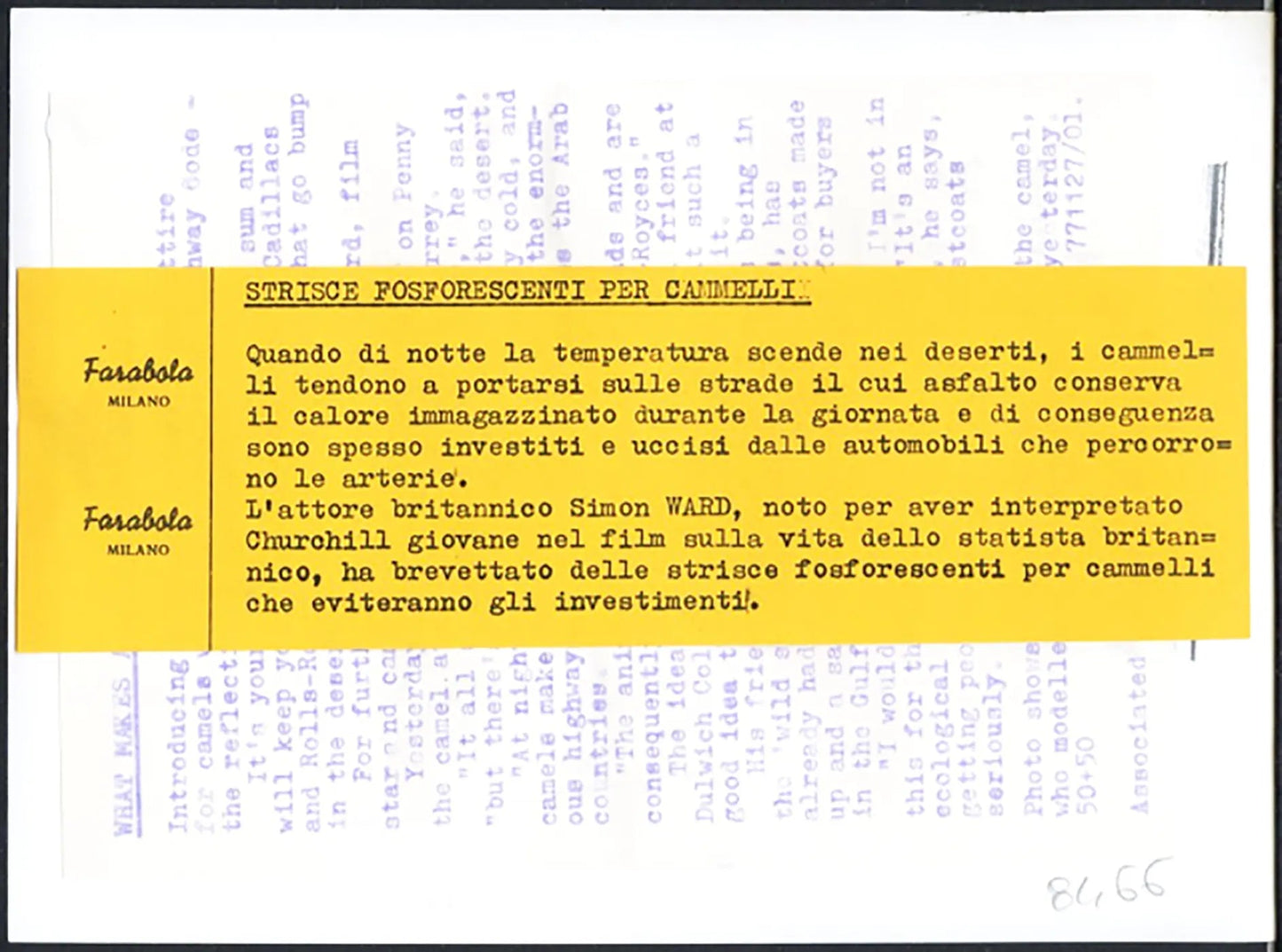 Simon Ward e i cammelli 1997 Ft 36748 - Stampa 21x15 cm - Farabola Stampa ai sali d'argento