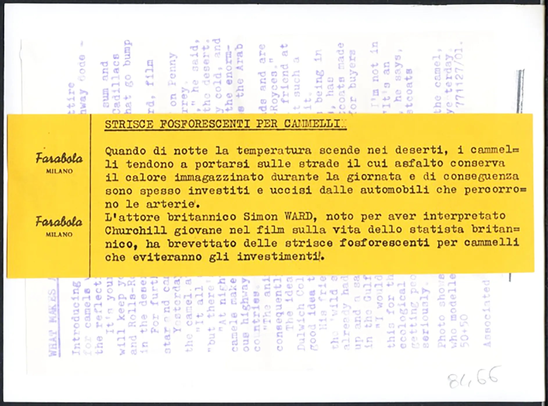 Simon Ward e i cammelli 1997 Ft 36748 - Stampa 21x15 cm - Farabola Stampa ai sali d'argento