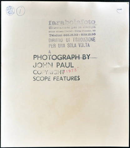 Slinky Modella anni 80 Ft 35441 - Stampa 20x20 cm - Farabola Stampa ai sali d'argento