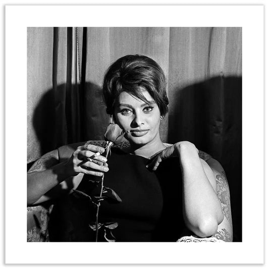 Sophia Loren con una rosa, 1960 - Farabola Fotografia