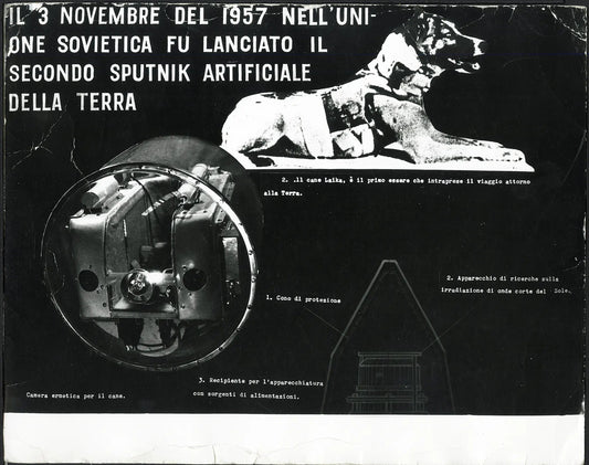 Sputnik II e il cane Laika 1957 Ft 36080 - Stampa 24x30 cm - Farabola Stampa ai sali d'argento