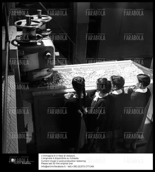 Stabilimento Pasta Agnesi, 1955 - Farabola Immagine digitale