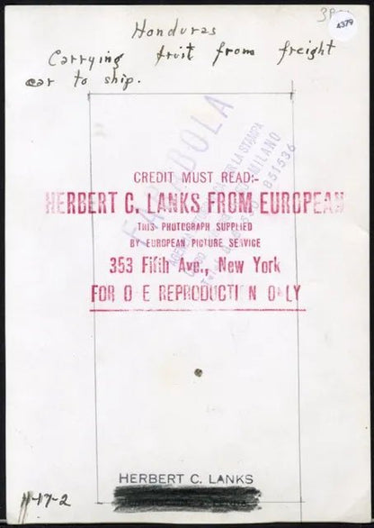 Trasporto banane in Honduras anni 60 Ft 4379 - Stampa 18x13 cm - Farabola Stampa ai sali d'argento