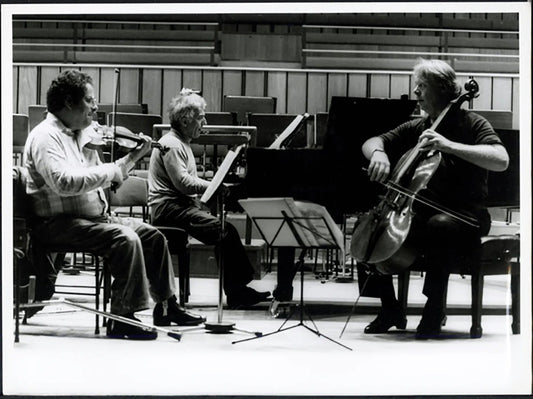 Trio Perlman Ashkenazy Harrell Ft 37209 - Stampa 24x18 cm - Farabola Stampa ai sali d'argento