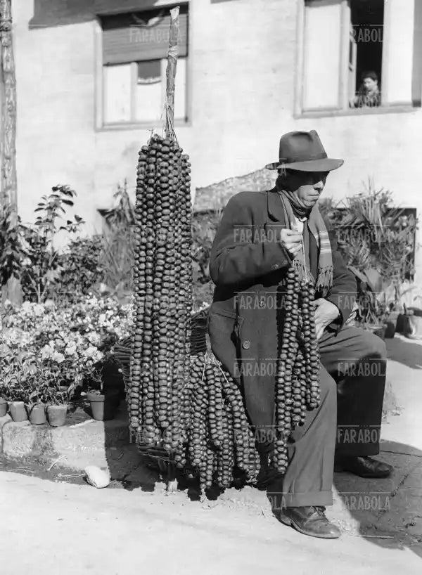 Venditore di castagne, Milano, 1953 - Farabola Immagine digitale