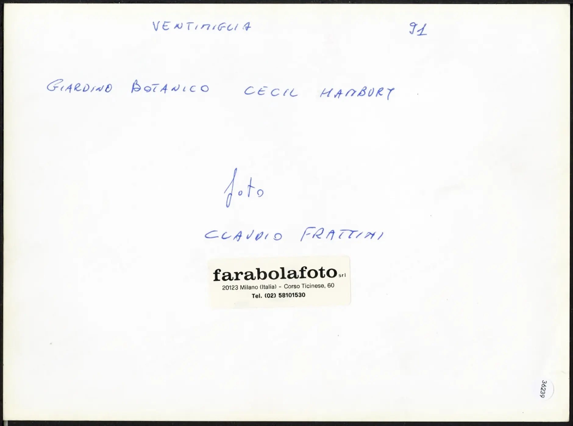 Ventimiglia Giardino Cecil Hanbury 1991 Ft 36239 - Stampa 24x18 cm - Farabola Stampa ai sali d'argento