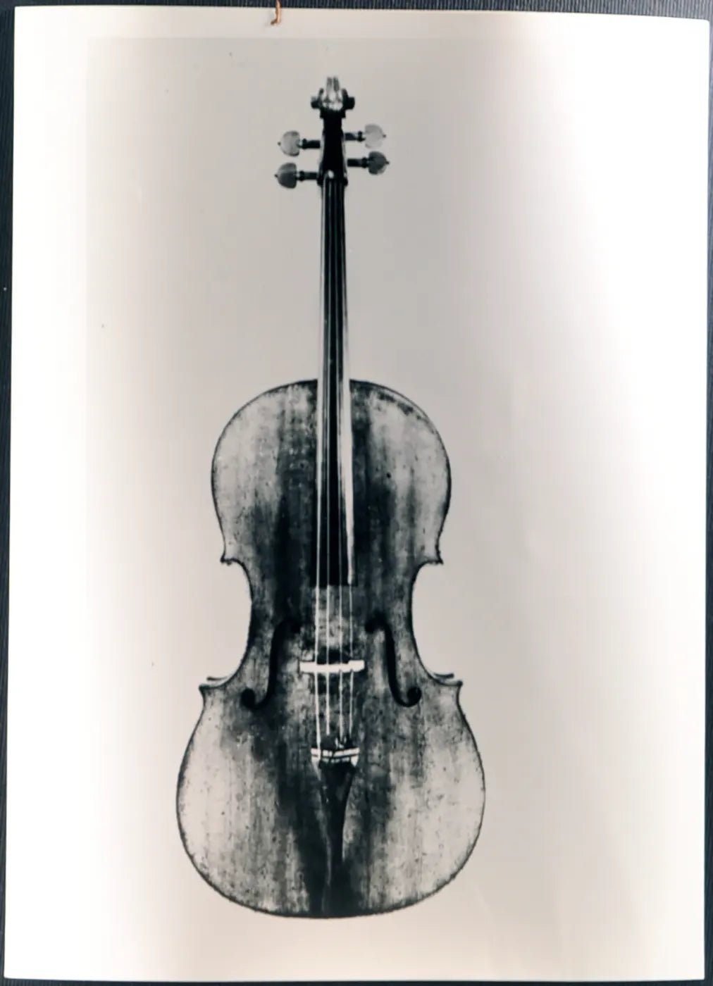 Violoncello del 1700 Ft 3101 - Stampa 24x18 cm - Farabola Stampa ai sali d'argento (anni 90)