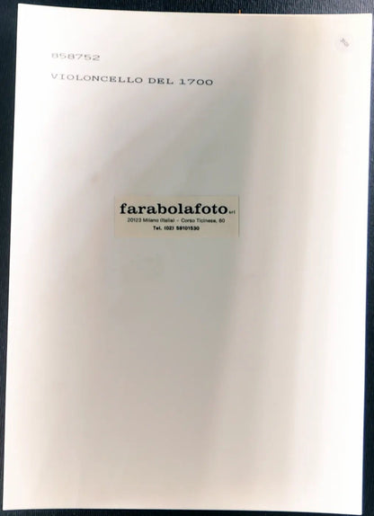 Violoncello del 1700 Ft 3101 - Stampa 24x18 cm - Farabola Stampa ai sali d'argento (anni 90)