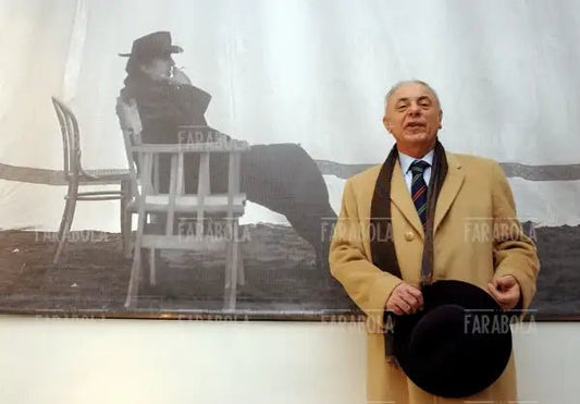 Vittorio Boarini, Museo Fellini, 2003 - Farabola Immagine digitale