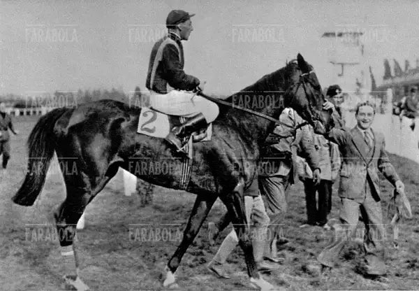 Vittorio di Nearco all'Ippodromo di San Siro, Milano, 1941 - Farabola Immagine digitale