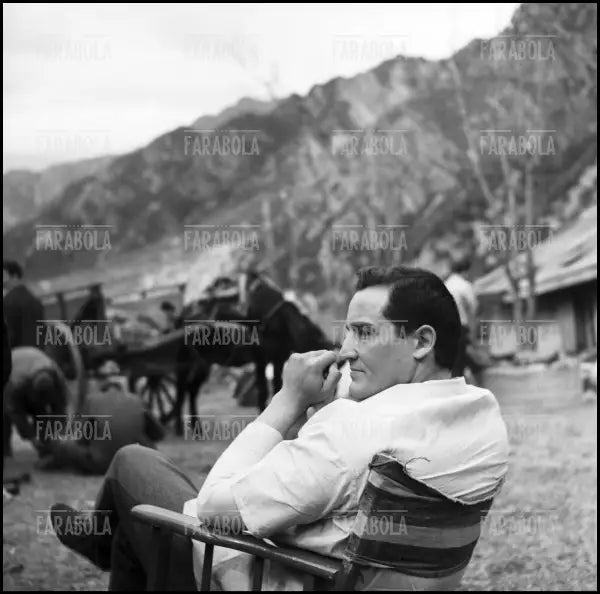Vittorio Gassman - Farabola Immagine digitale