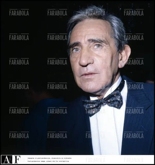 Walter Chiari, Festival di Venezia, 1987 - Farabola Immagine digitale