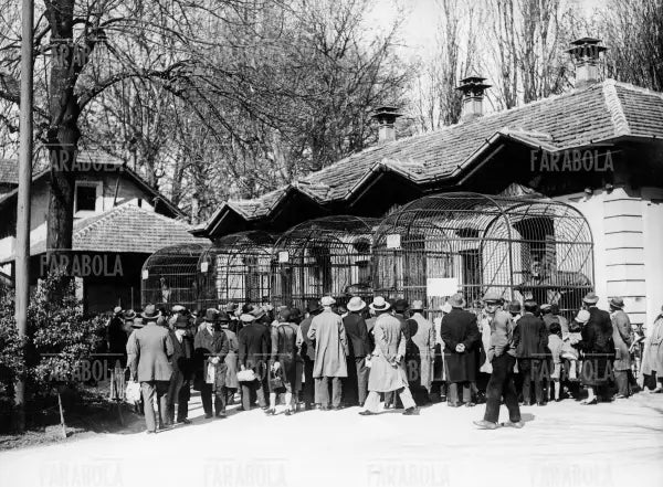 Zoo ai Giardini Pubblici, Milano, 1936 - Farabola Immagine digitale