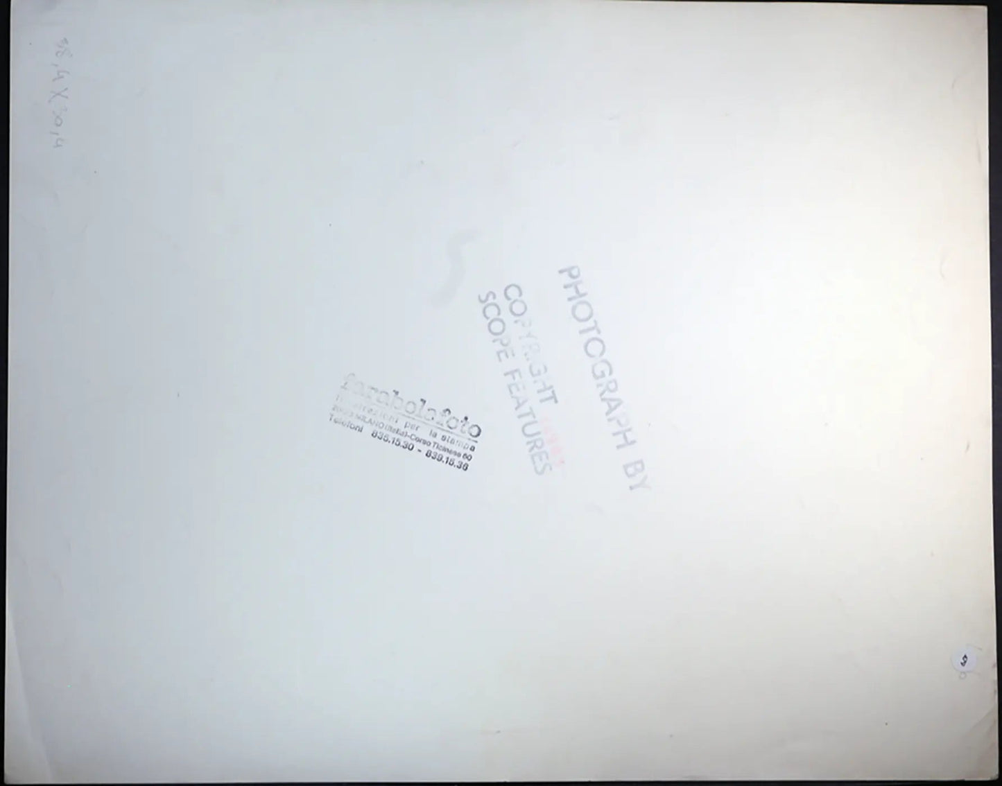 Cane beagle Ft 479 - Stampa 27x37 cm - Farabola Stampa ai sali d'argento