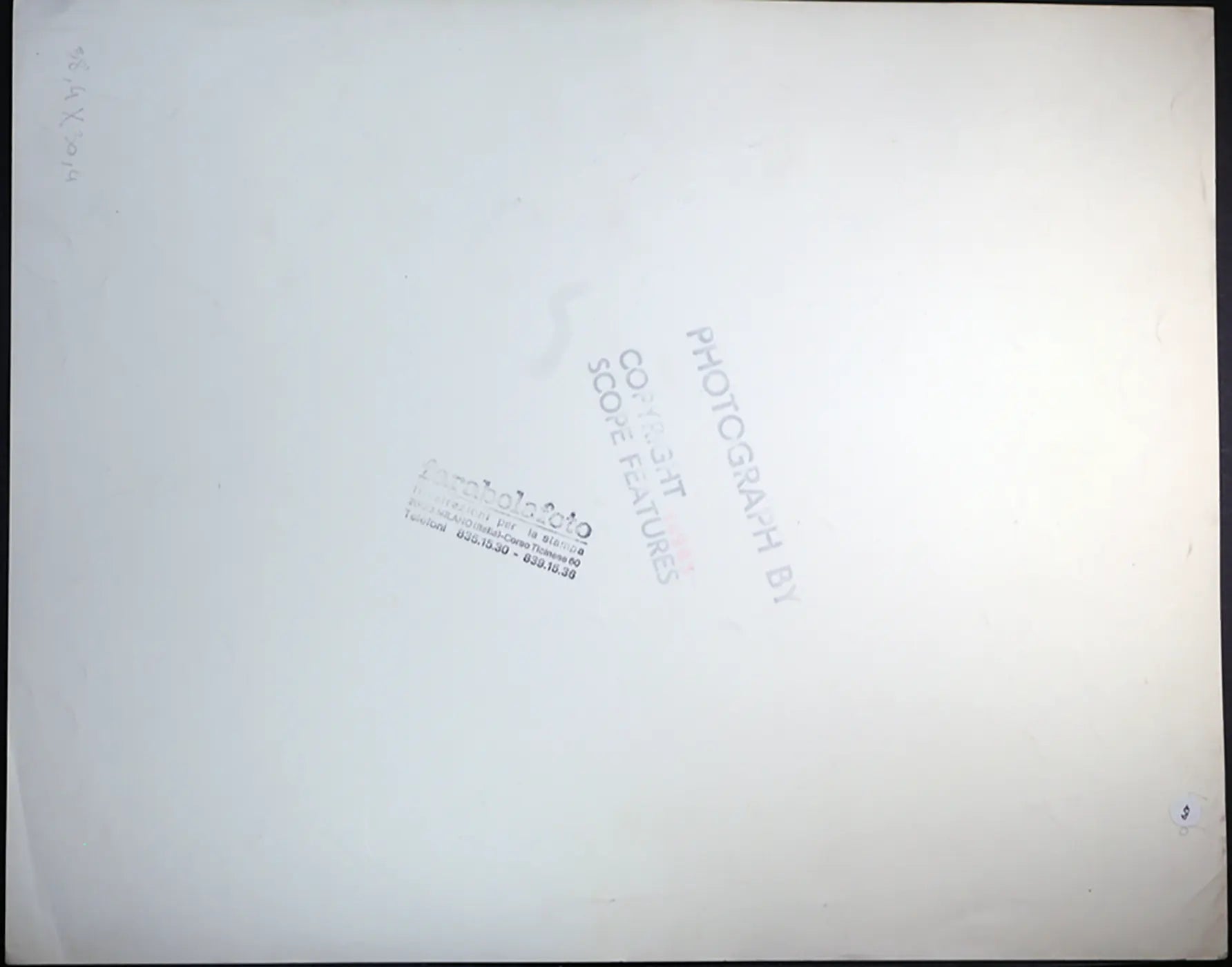 Cane beagle Ft 479 - Stampa 27x37 cm - Farabola Stampa ai sali d'argento