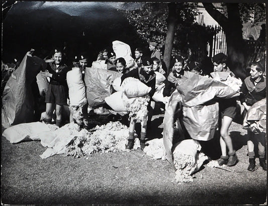 Balilla raccolgono lana per la patria 1942 Ft 24 - Stampa 30x24 cm - Farabola Stampa ai sali d'argento