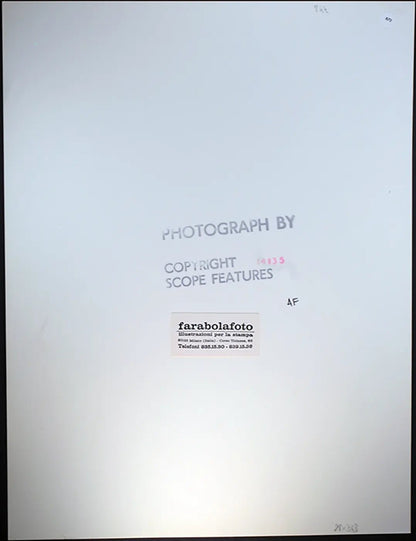 Dinasty Joan Collins anni 80 Ft 873 - Stampa 27x37 cm - Farabola Stampa ai sali d'argento