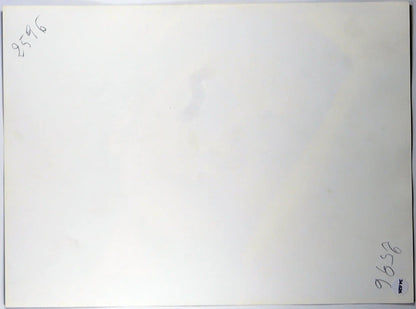 Film Nessuno è perfetto 1981 Ft 34626 - Stampa 24x18 cm - Farabola Stampa ai sali d'argento