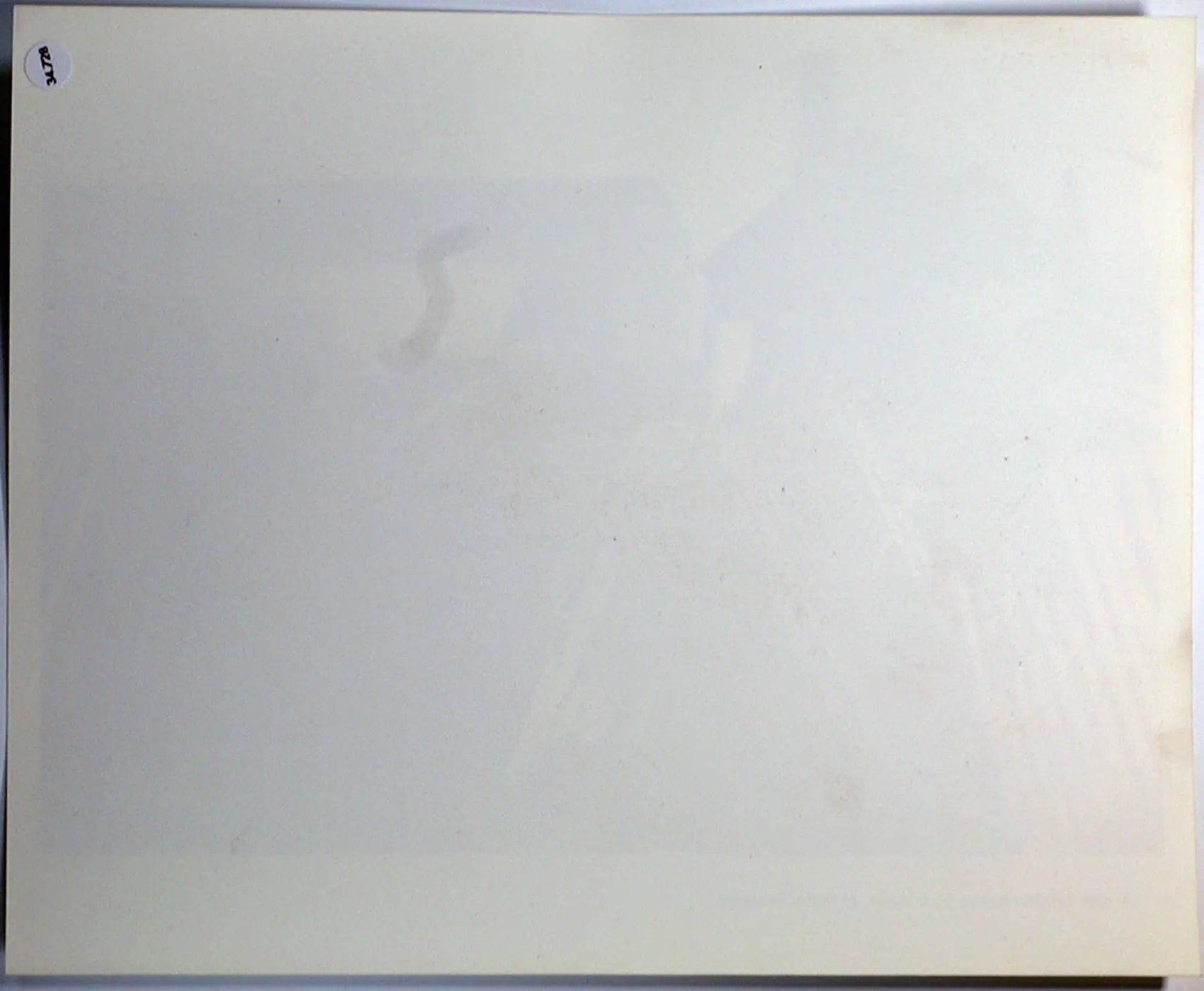 Film Tha Bay Boy Ft 34728 - Stampa 20x25 cm - Farabola Stampa ai sali d'argento
