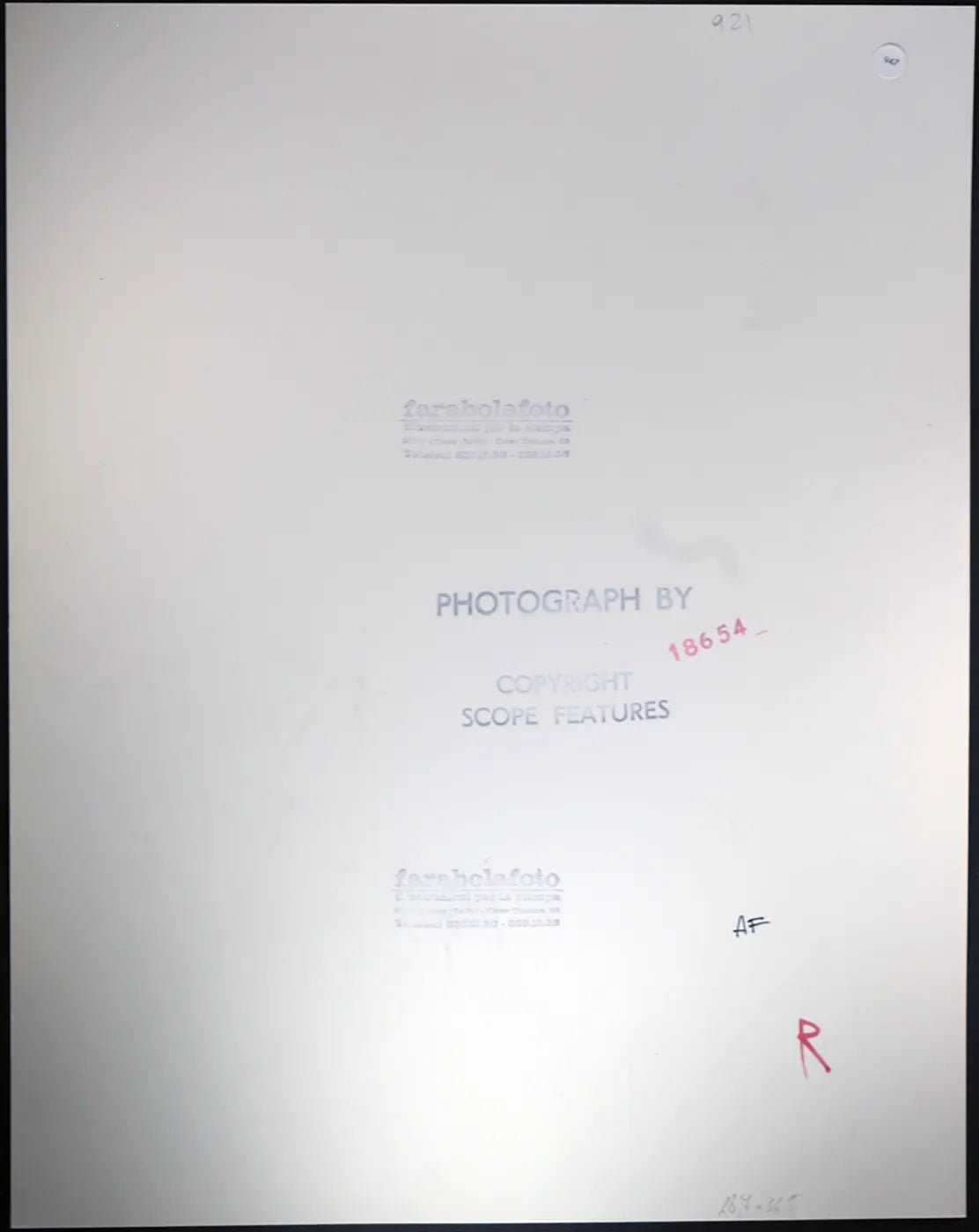 Gina Lollobrigida e Jane Wyman Falcon Crest Ft 947 - Stampa 27x37 cm - Farabola Stampa ai sali d'argento