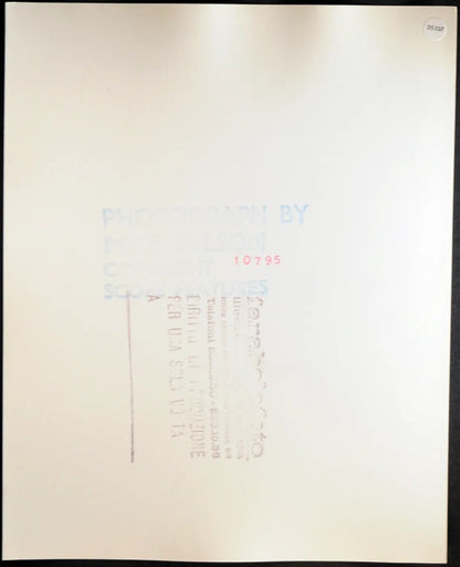 Joni Flynn Modella anni 70 Ft 35137 - Stampa 20x25 cm - Farabola Stampa ai sali d'argento