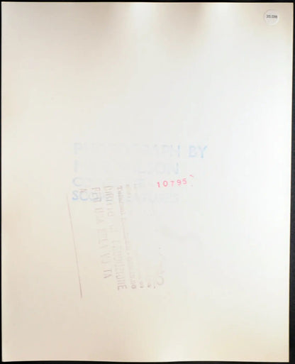 Joni Flynn Modella anni 70 Ft 35138 - Stampa 20x25 cm - Farabola Stampa ai sali d'argento