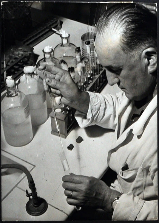 Istituto Pasteur Francia 1957 Ft 1732 - Stampa 18x13 cm - Farabola Stampa ai sali d'argento