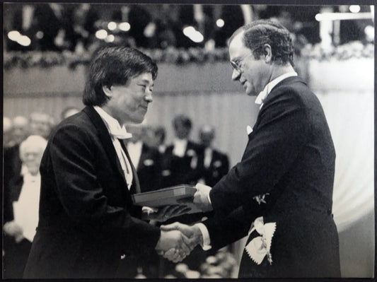 Nobel a Tonegawa 1987 Ft 1150 - Stampa 24x18 cm - Farabola Stampa ai sali d'argento