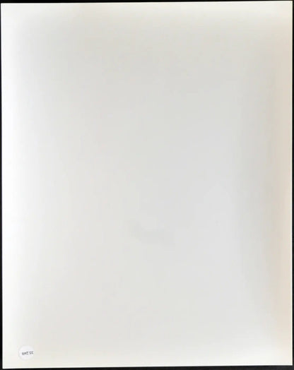 Michael Caine Film Fuga per la vittoria Ft 35248 - Stampa 20x25 cm - Farabola Stampa ai sali d'argento