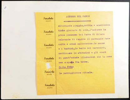 Passeggiata al Parco Milano anni 60 Ft 1323 - Stampa 24x18 cm - Farabola Stampa ai sali d'argento