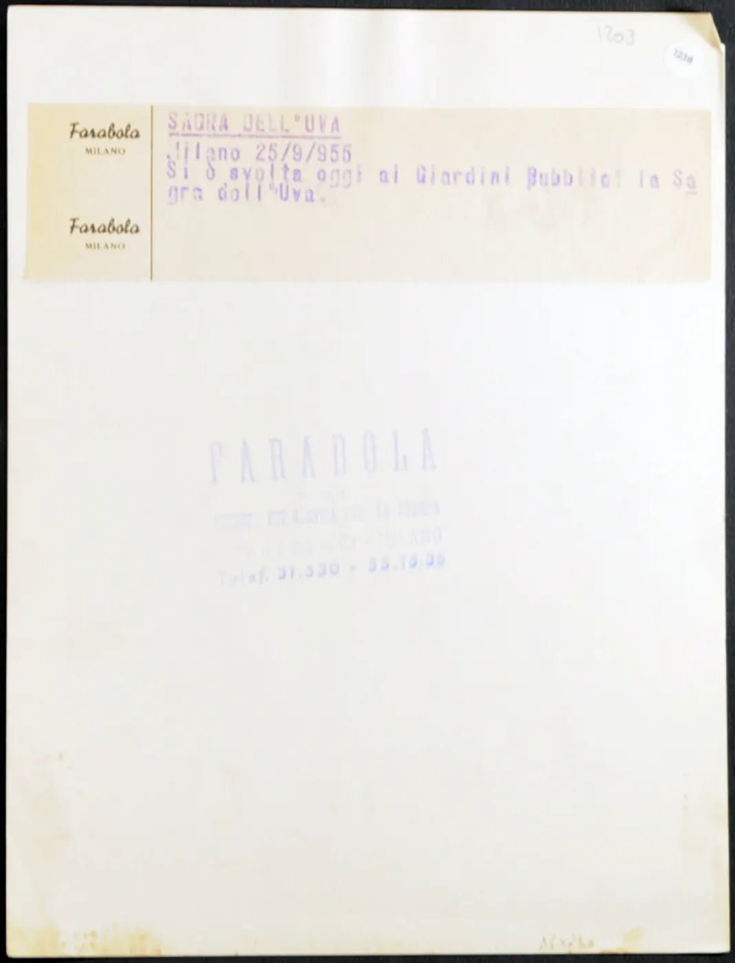 Sagra dell'Uva Milano 1955 Ft 1238 - Stampa 24x18 cm - Farabola Stampa ai sali d'argento