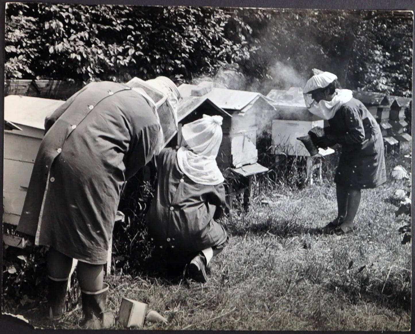 Scuola Agraria Femminile Milano 1965 Ft 1107 - Stampa 21x27 cm - Farabola Stampa ai sali d'argento