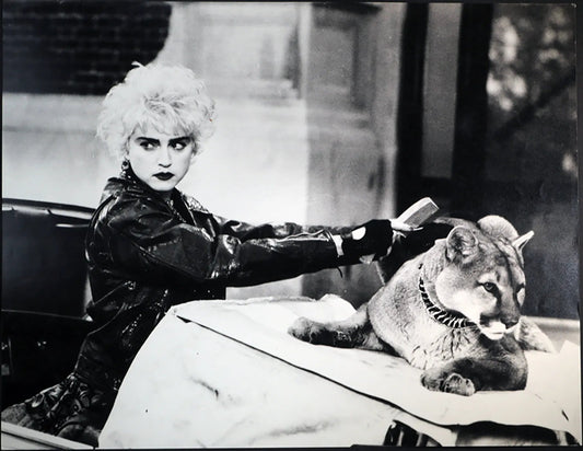 Madonna anni 80 Ft 244 - Stampa 27x37 cm - Farabola Stampa ai sali d'argento