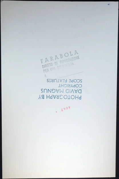 Rod Stewart Ft 60 - Stampa 24x37 cm - Farabola Stampa ai sali d'argento