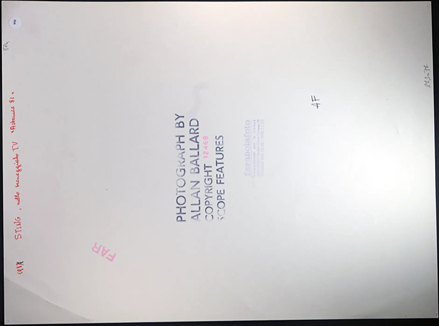 Sting anni 80 Ft 918 - Stampa 27x37 cm - Farabola Stampa ai sali d'argento