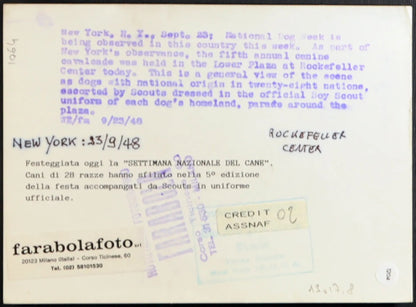 New York Settimana del Cane 1948 Ft 1204 - Stampa 18x13 cm - Farabola Stampa ai sali d'argento