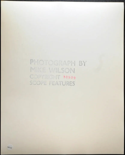 Nudi artistici Modella anni 70 Ft 35179 - Stampa 20x25 cm - Farabola Stampa ai sali d'argento