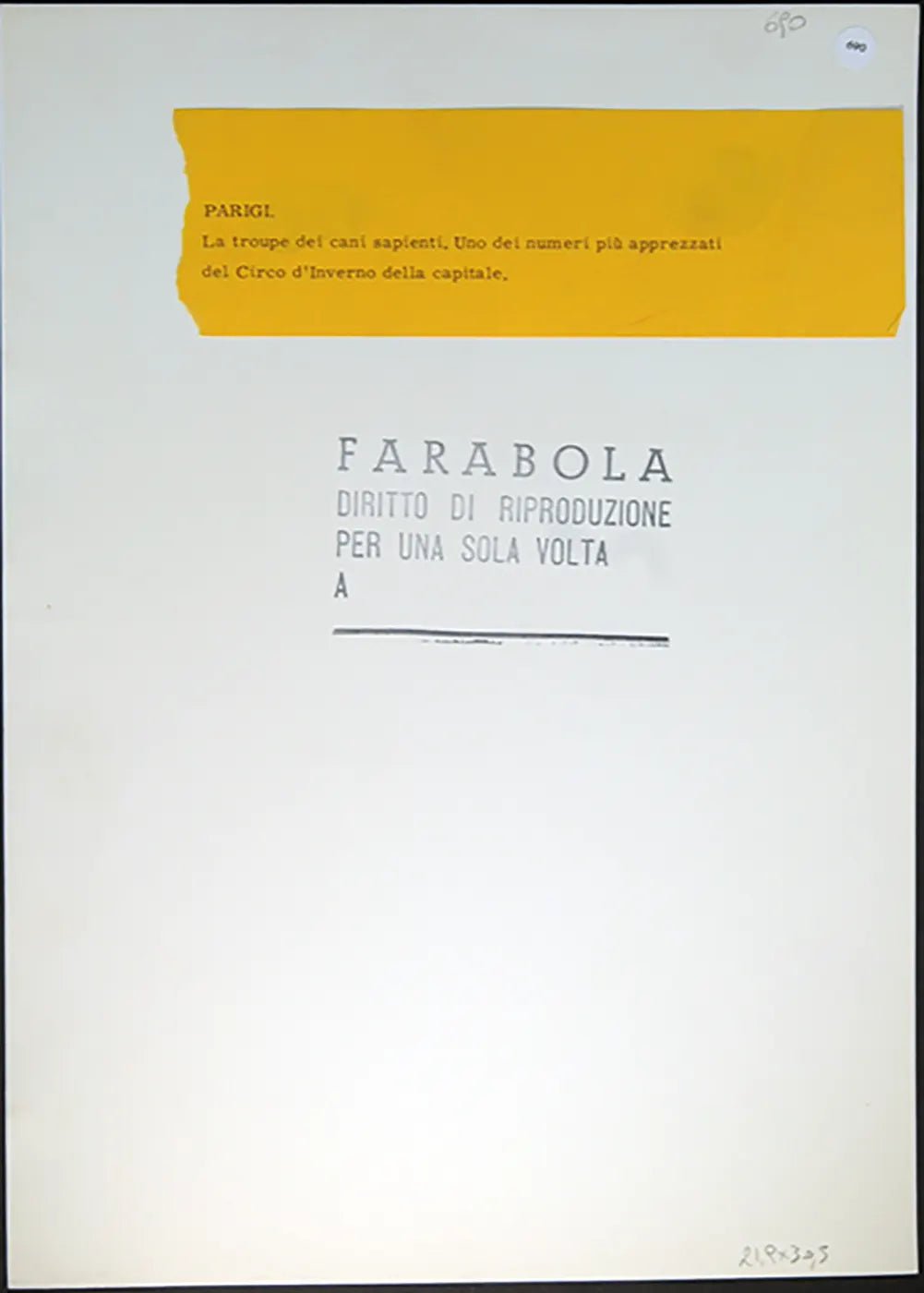 Cani ammaestrati anni 60 Ft 690 - Stampa 30x24 cm - Farabola Stampa ai sali d'argento