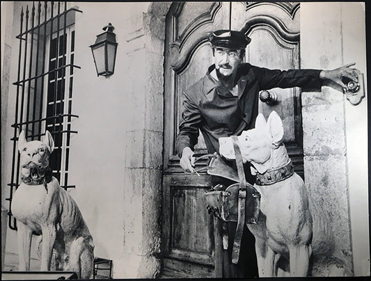 Peter Sellers Film La pantera rosa Ft 1025 - Stampa 24x37 cm - Farabola Stampa ai sali d'argento