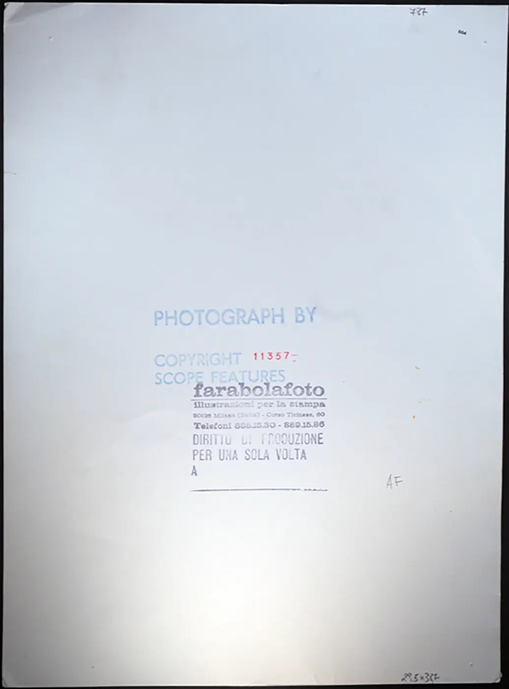Priscilla Presley anni 80 Ft 864 - Stampa 27x37 cm - Farabola Stampa ai sali d'argento