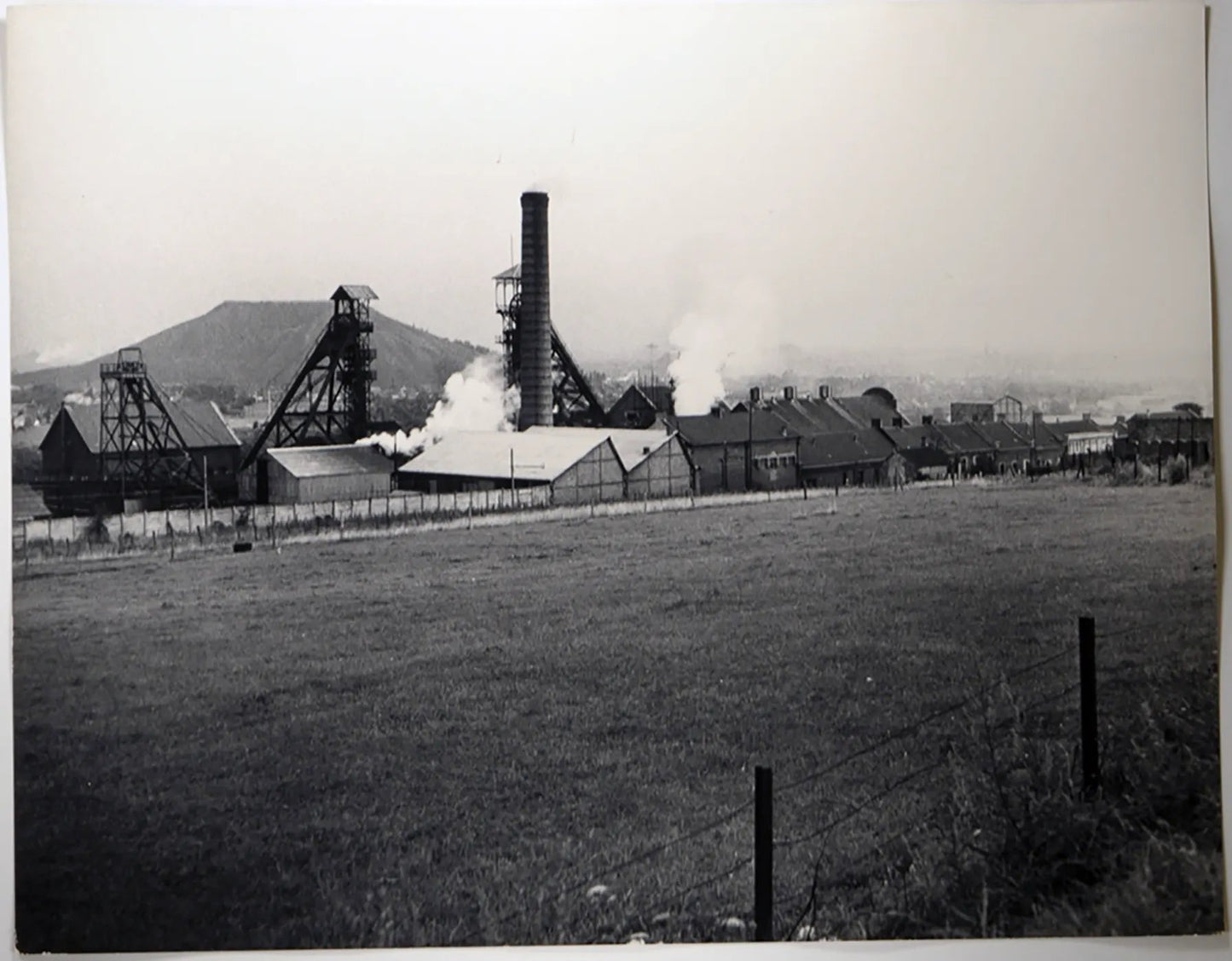 Tragedia di Marcinelle Miniera 1956 Ft 34617 - Stampa 30x24 cm - Farabola Stampa ai sali d'argento