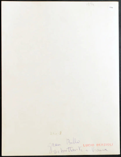 Vienna Ballo delle Debuttanti Ft 1384 - Stampa 24x18 cm - Farabola Stampa ai sali d'argento