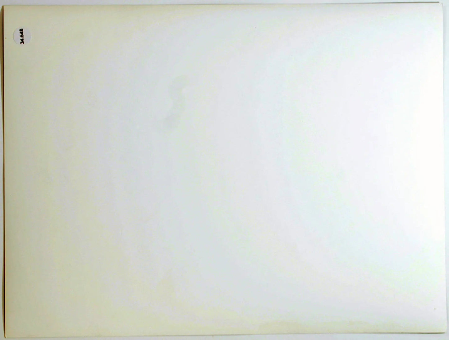 Woody Allen Film Il Prestanome 1976 Ft 34648 - Stampa 24x18 cm - Farabola Stampa ai sali d'argento