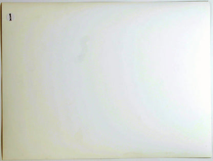 Woody Allen Film Il Prestanome 1976 Ft 34648 - Stampa 24x18 cm - Farabola Stampa ai sali d'argento