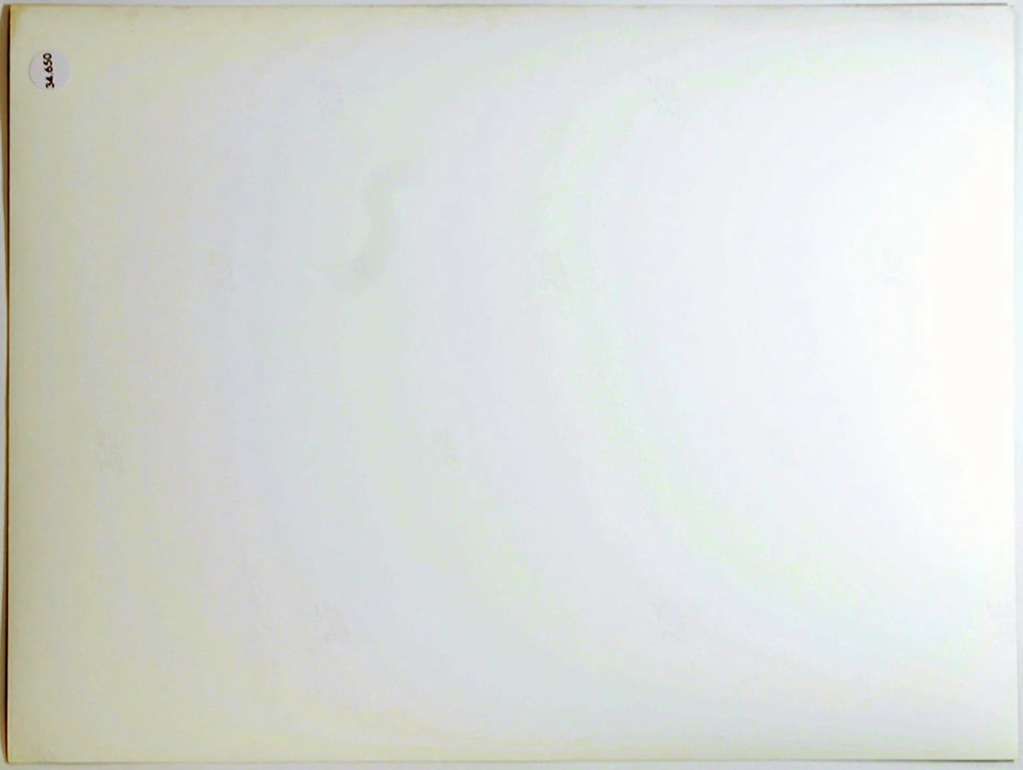 Woody Allen Film Il Prestanome 1976 Ft 34650 - Stampa 24x18 cm - Farabola Stampa ai sali d'argento