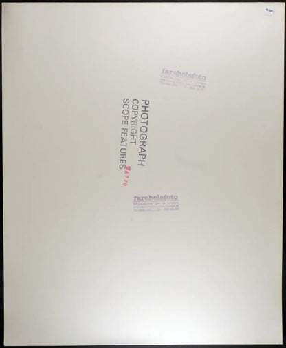 Yanou Collart Rock Hudson Ft 35074 - Stampa 30x37 cm - Farabola Stampa ai sali d'argento